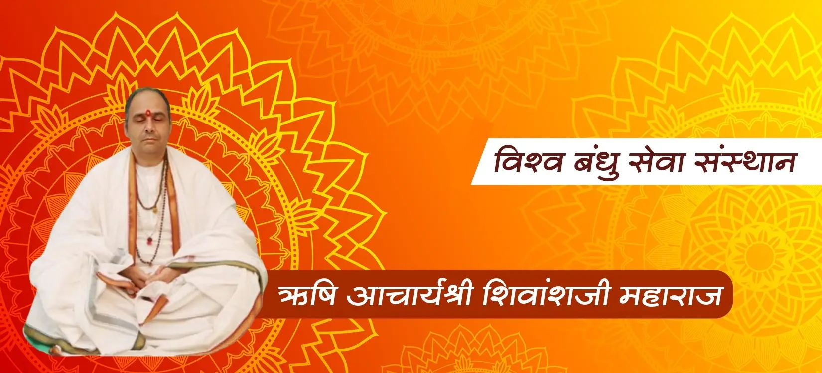 विश्व बंधु सेवा संस्थान - सेवा कार्यक्रम